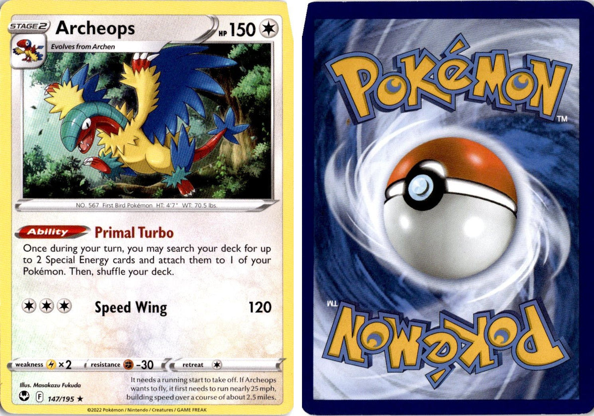 Front + Back scan