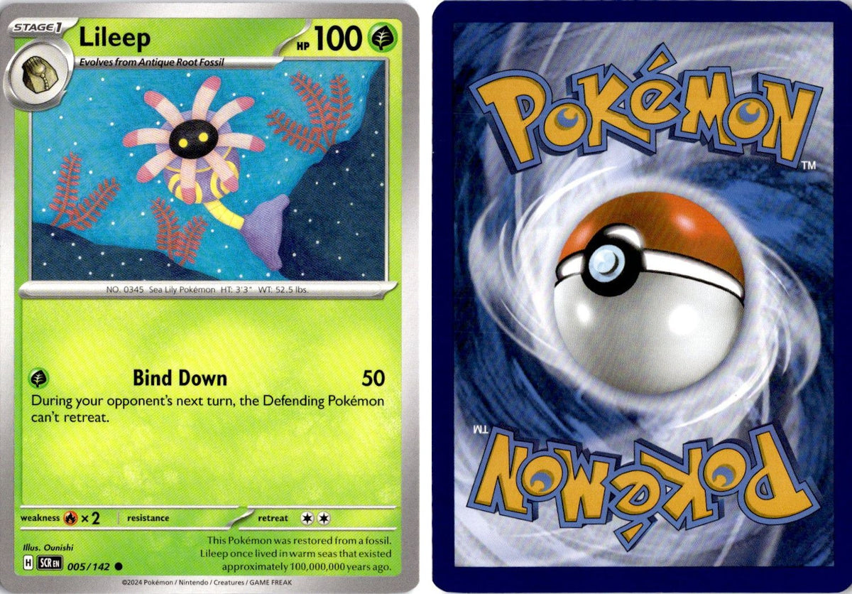 Front + Back scan | Near Mint / English / Normal