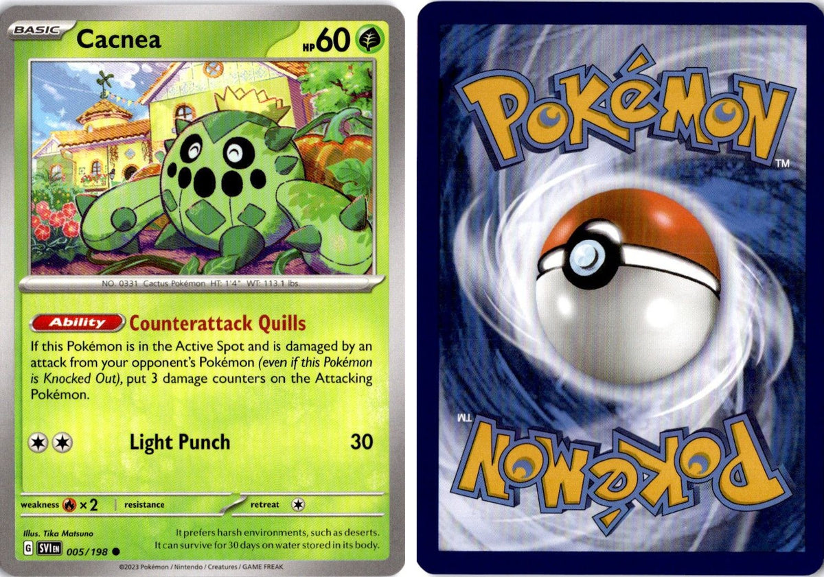 Front + Back scan | Near Mint / English / Normal