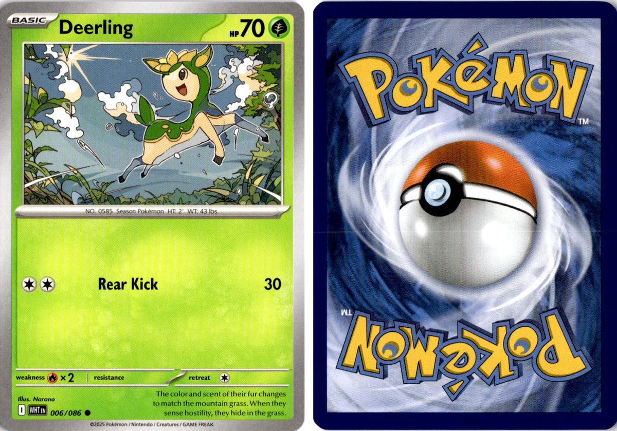 Front + Back scan | Near Mint / English / Normal