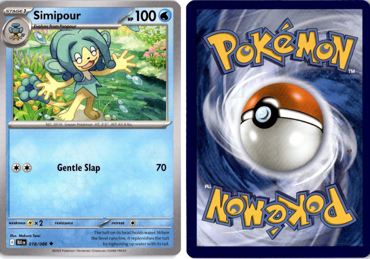 Front + Back scan | Near Mint / English / Normal