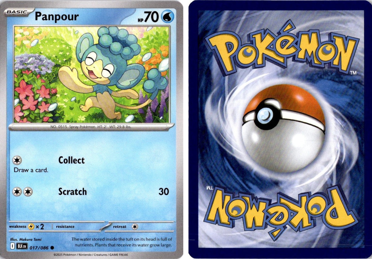 Front + Back scan | Near Mint / English / Normal