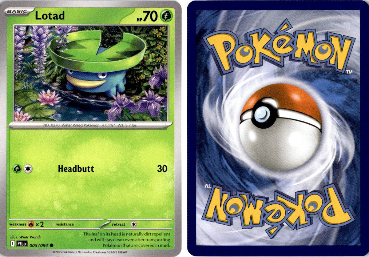 Front + Back scan | Near Mint / English / Normal