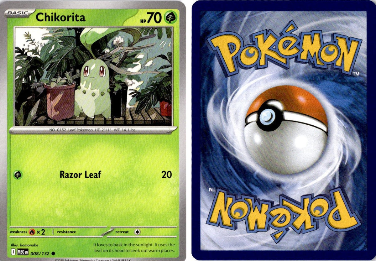 Front + Back scan | Near Mint / English / Normal