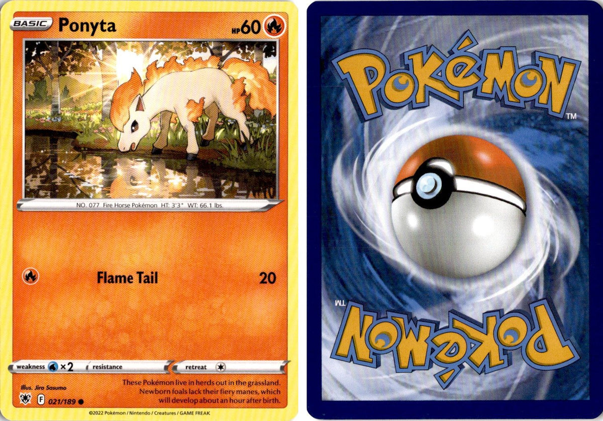 Front + Back scan | Near Mint / English / Normal