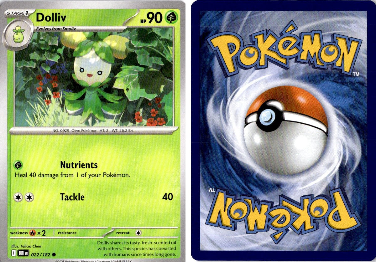 Front + Back scan | Near Mint / English / Normal