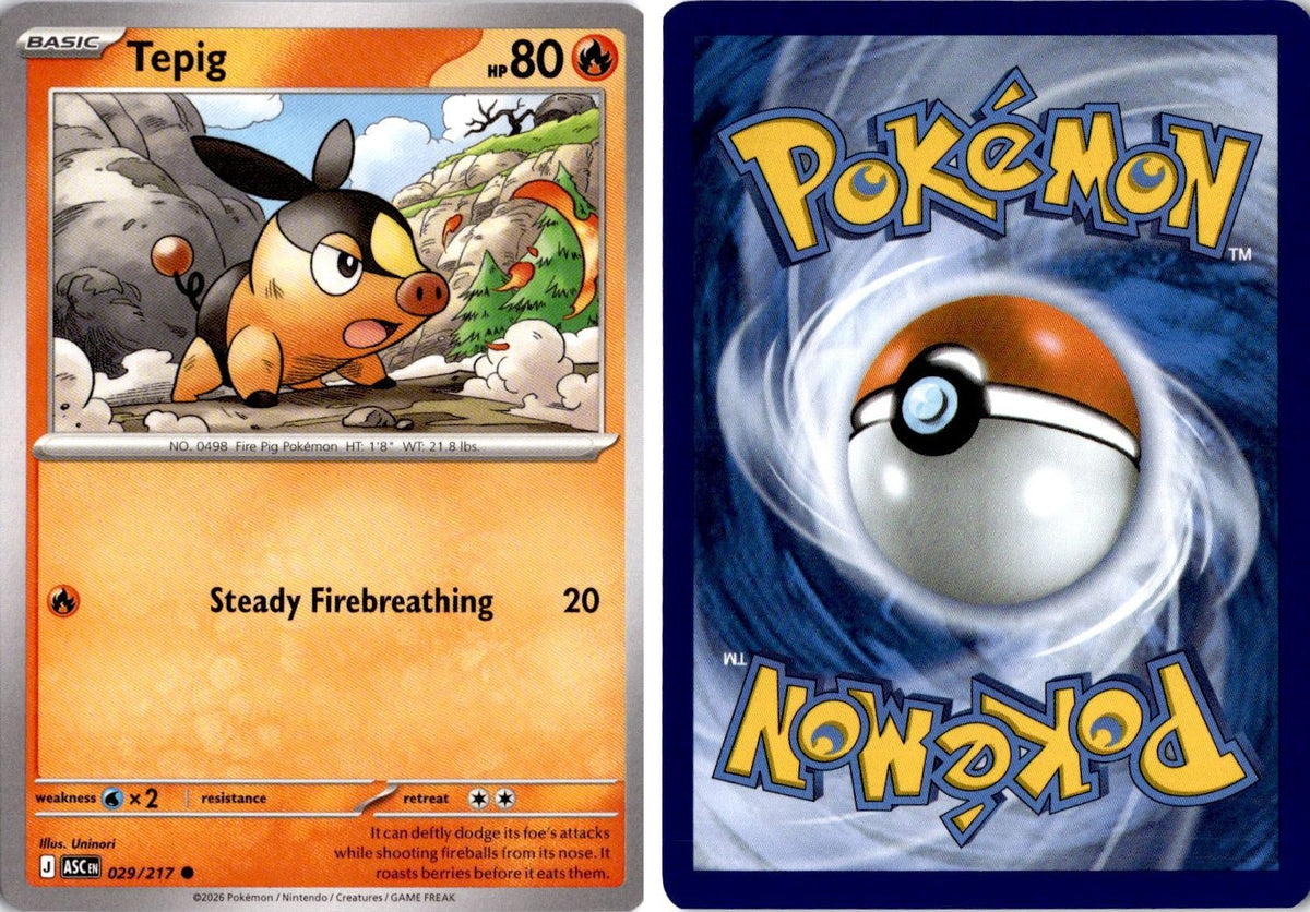 Front + Back scan | Near Mint / English / Normal