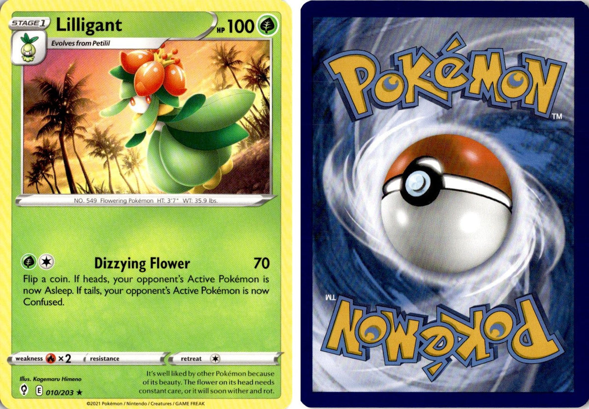 Front + Back scan | Near Mint / English / Normal