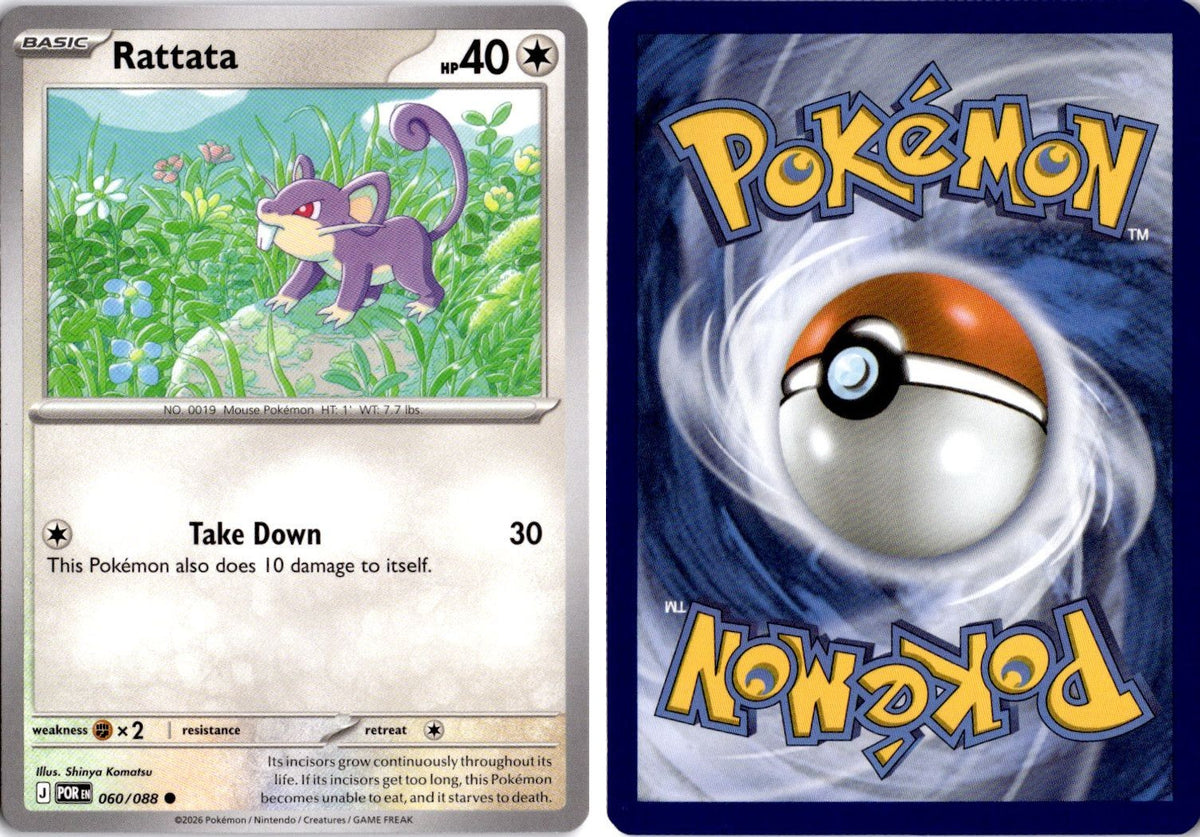 Front + Back scan | Near Mint / English / Normal