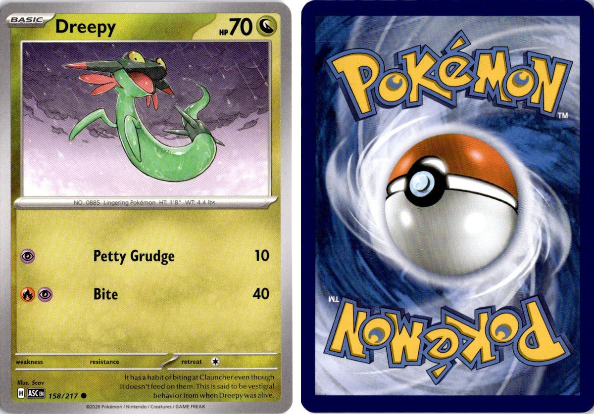 Front + Back scan | Near Mint / English / Normal