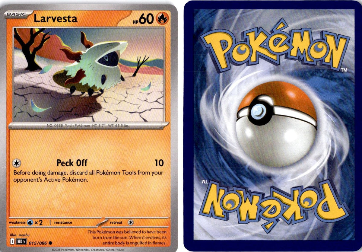 Front + Back scan | Near Mint / English / Normal