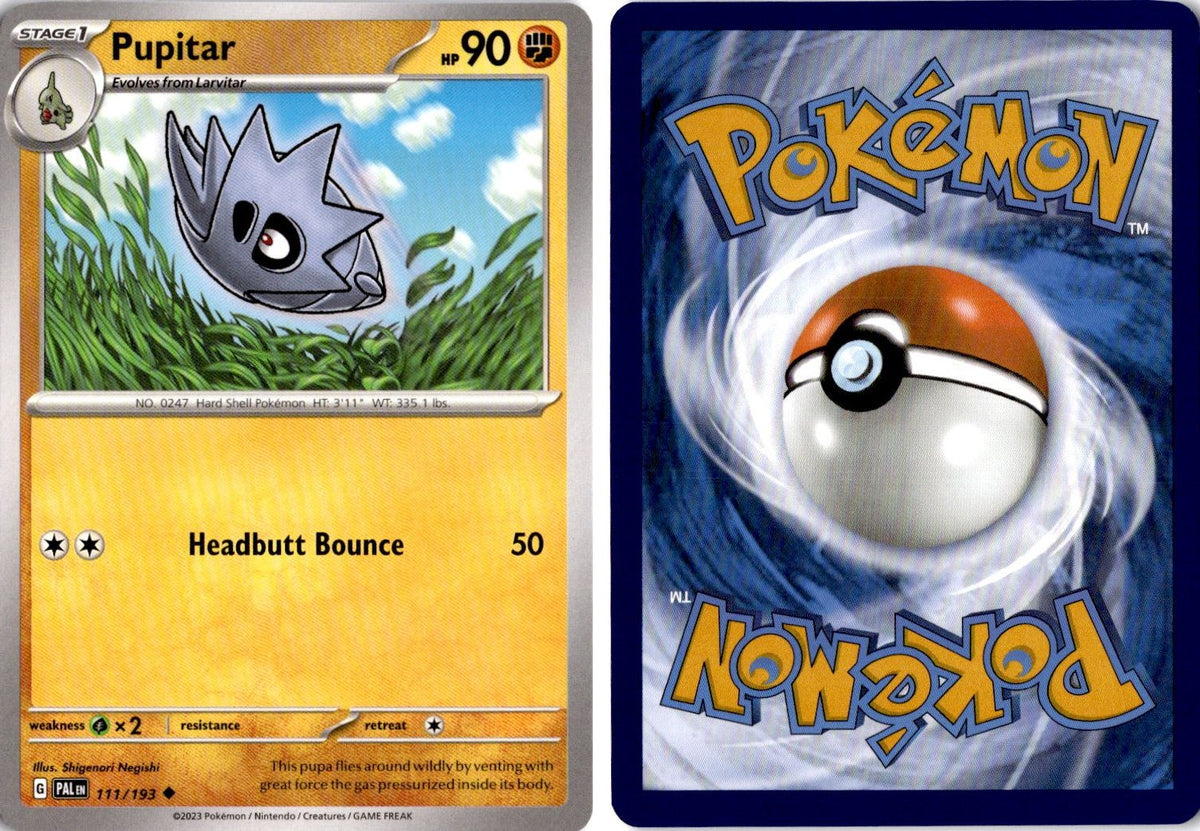 Front + Back scan | Near Mint / English / Normal
