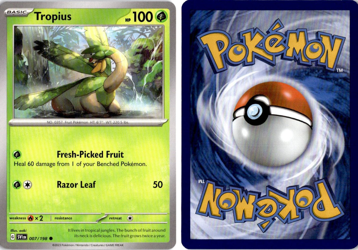 Front + Back scan | Near Mint / English / Normal