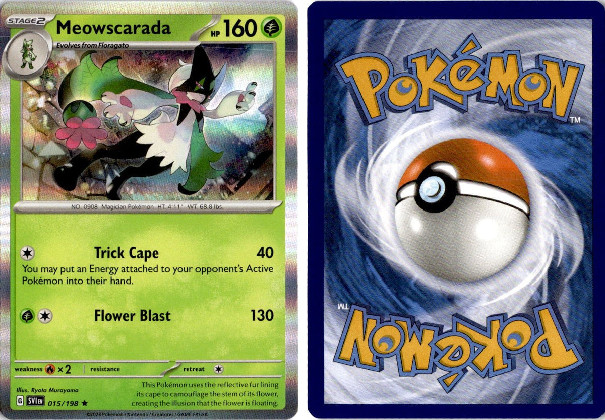 Front + Back scan | Near Mint / English / Holofoil