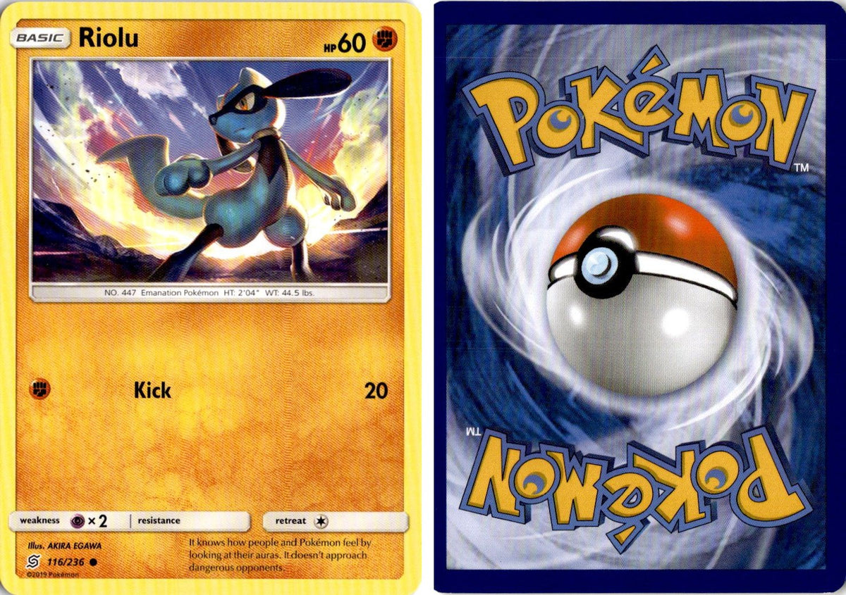 Front + Back scan | Near Mint / English / Normal