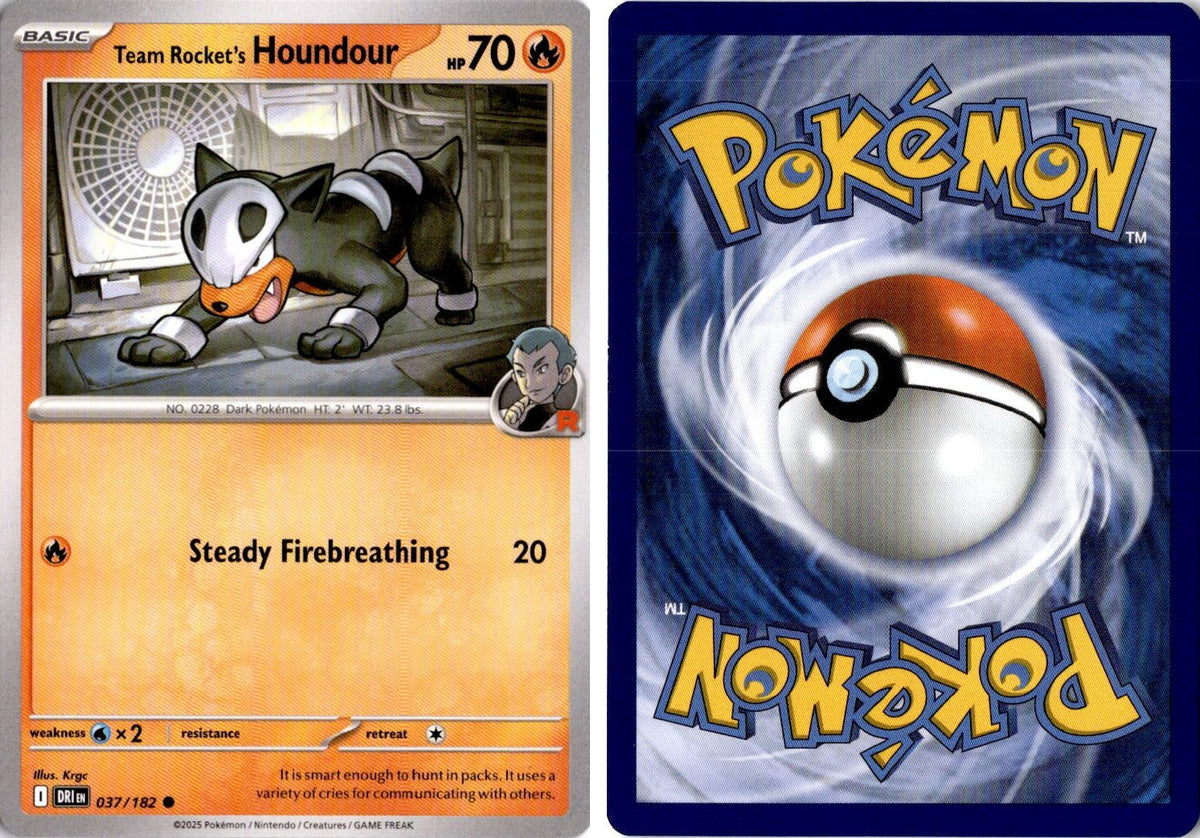 Front + Back scan | Near Mint / English / Normal