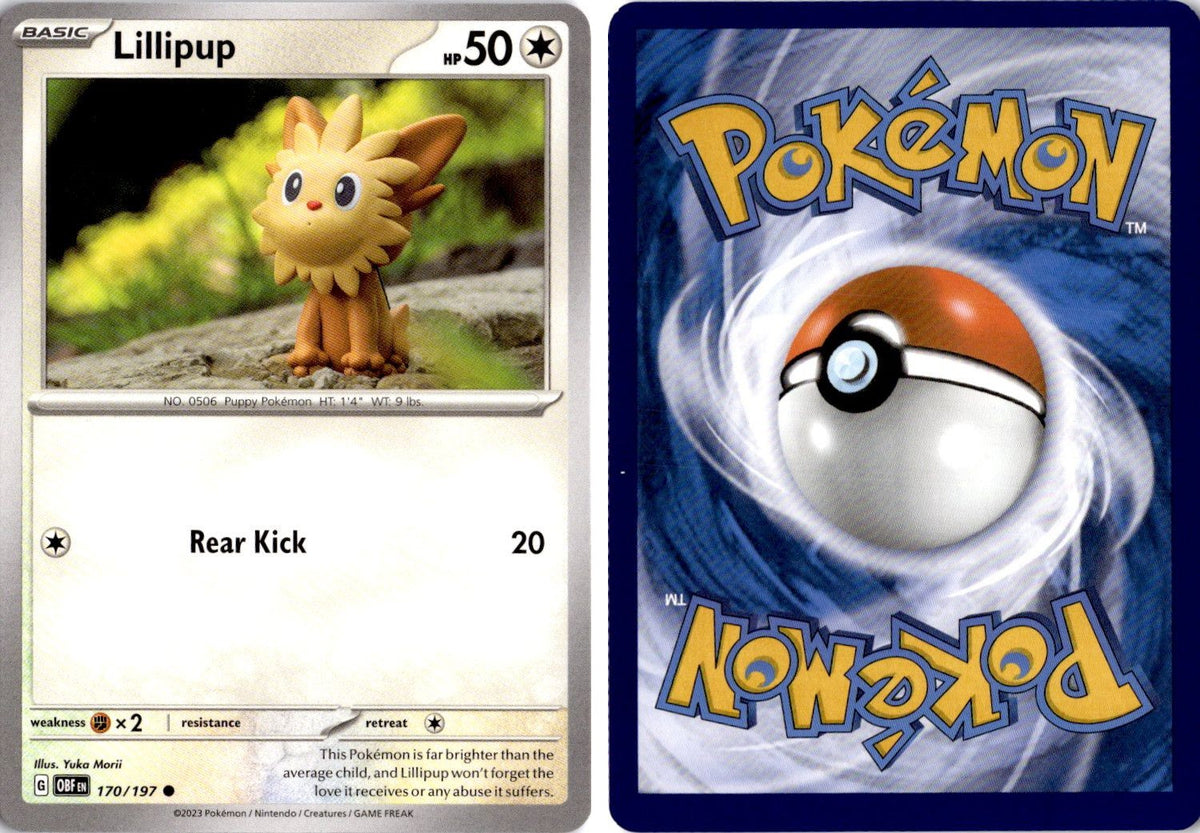 Front + Back scan | Near Mint / English / Normal