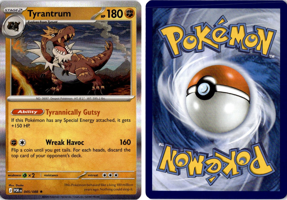 Front + Back scan | Near Mint / English / Holofoil