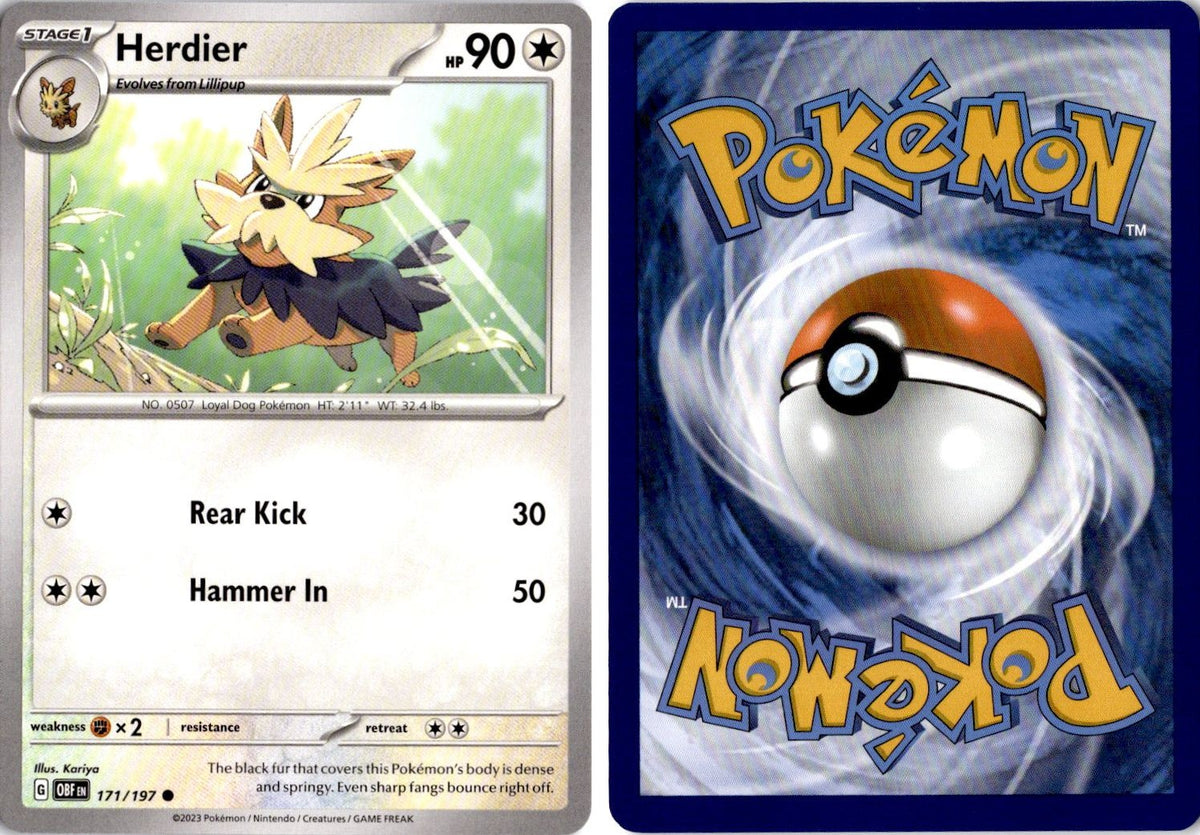 Front + Back scan | Near Mint / English / Normal
