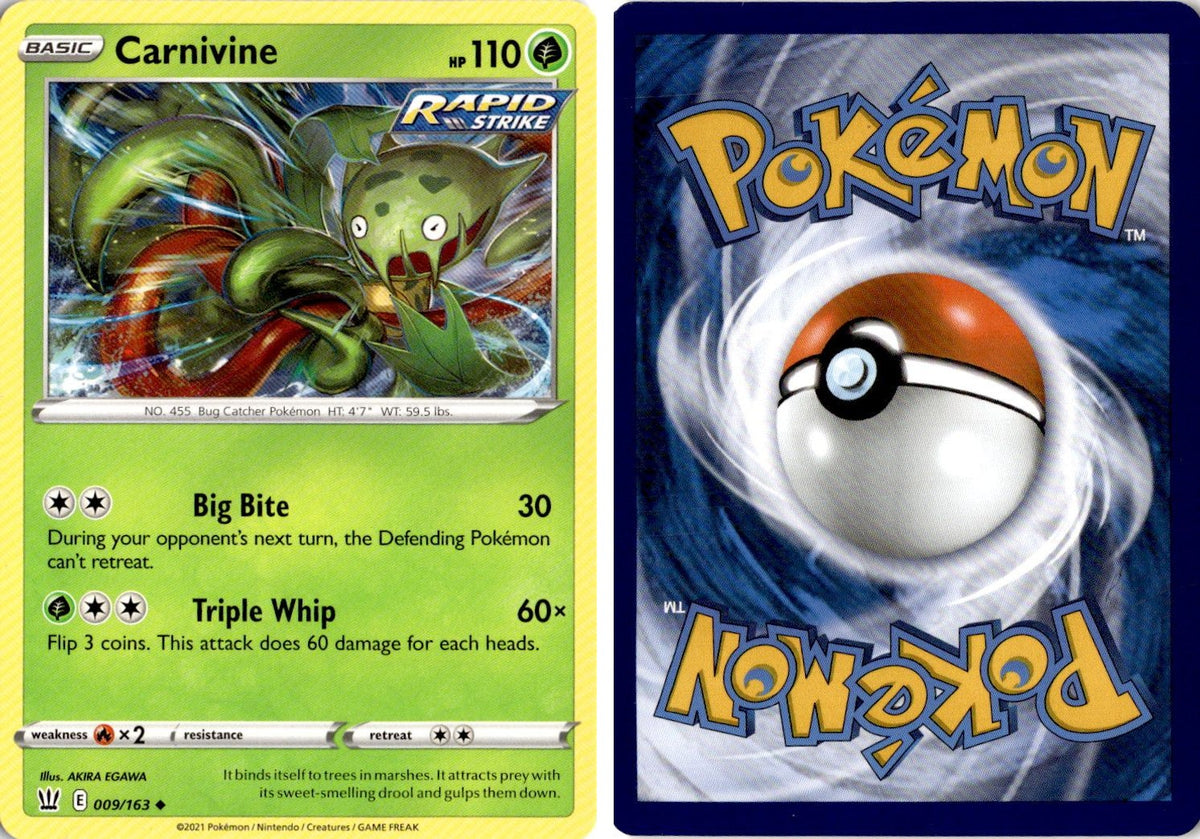 Front + Back scan | Near Mint / English / Normal