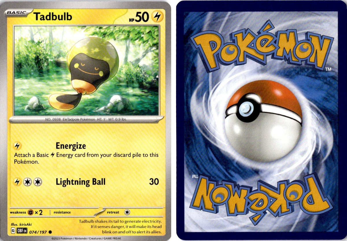 Front + Back scan | Near Mint / English / Normal