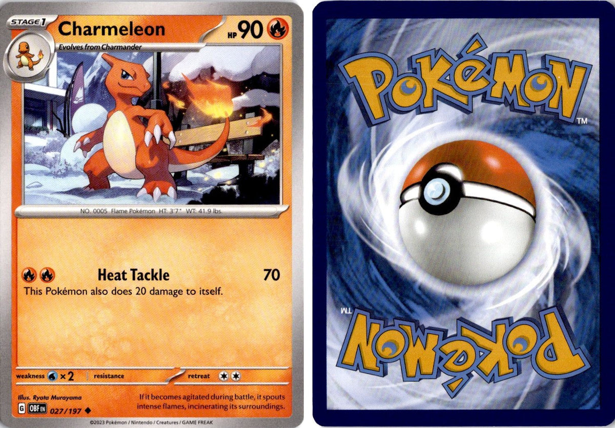 Front + Back scan | Near Mint / English / Normal
