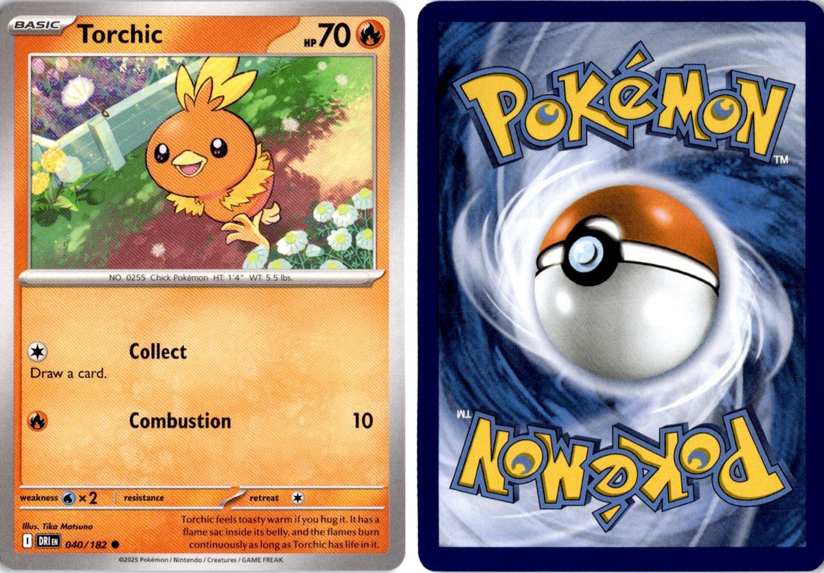 Front + Back scan | Near Mint / English / Normal