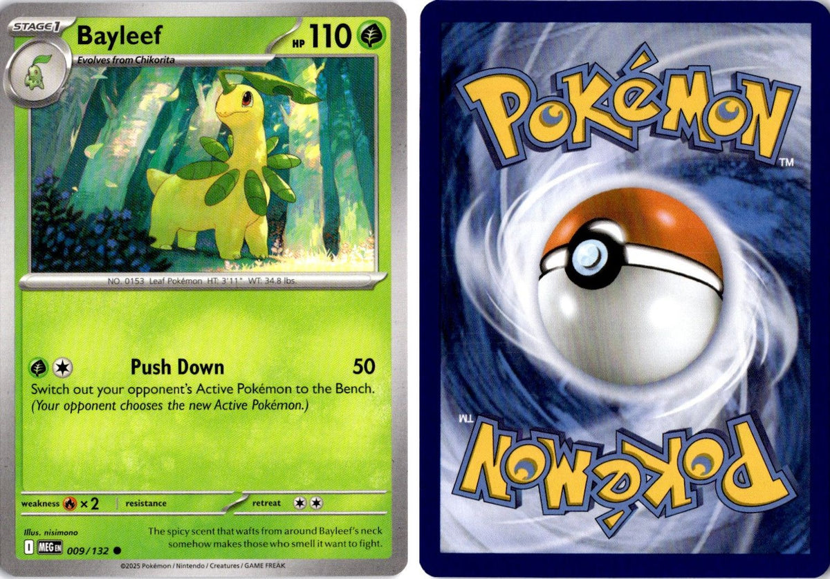 Front + Back scan | Near Mint / English / Normal