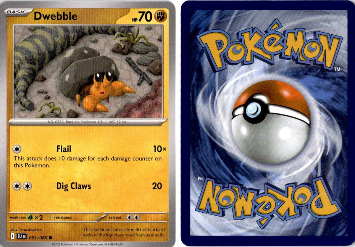 Front + Back scan | Near Mint / English / Normal