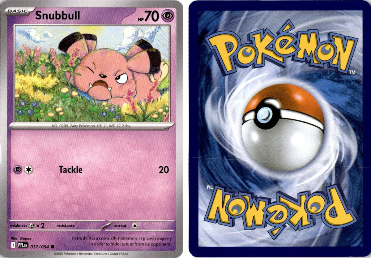 Front + Back scan | Near Mint / English / Normal