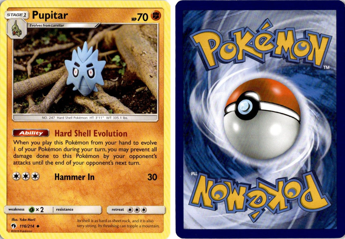 Front + Back scan | Near Mint / English / Normal
