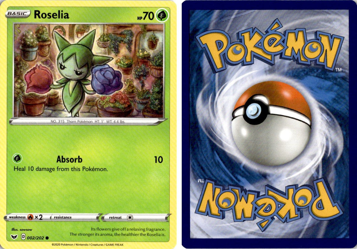 Front + Back scan | Near Mint / English / Normal