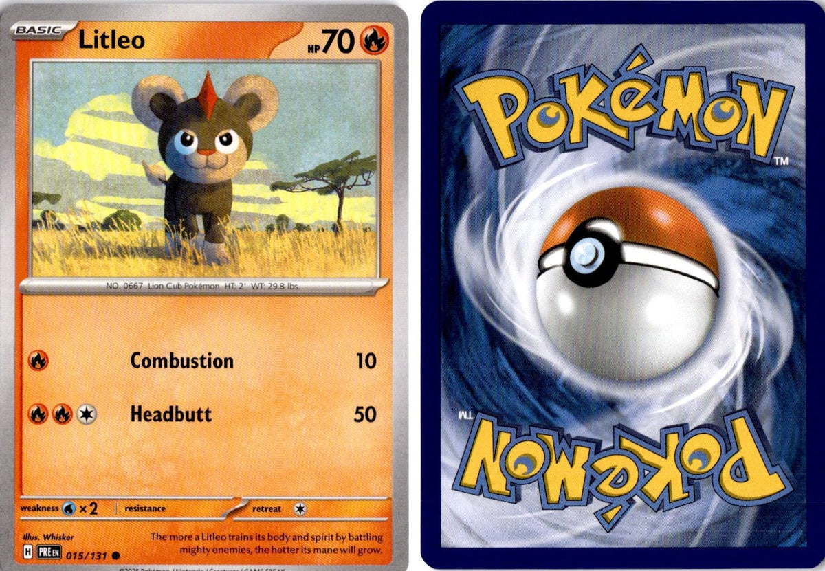 Front + Back scan | Near Mint / English / Normal