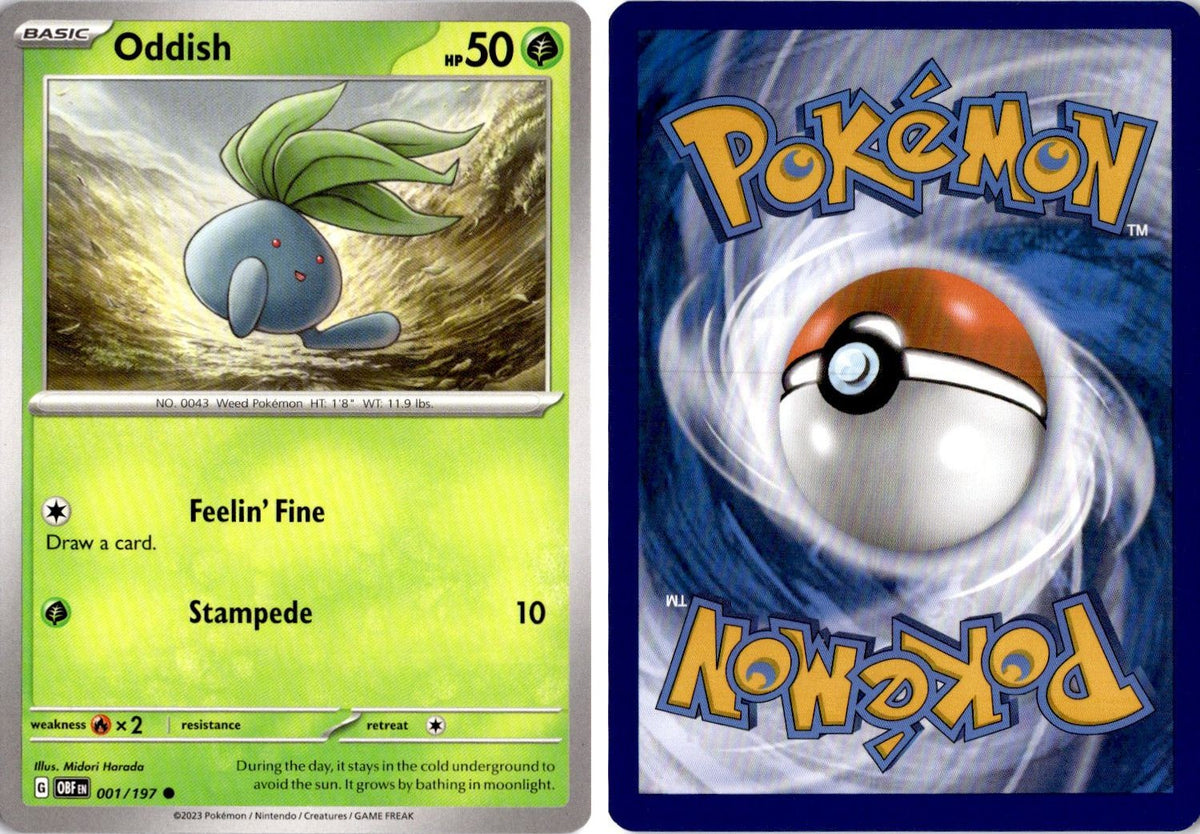 Front + Back scan | Near Mint / English / Normal
