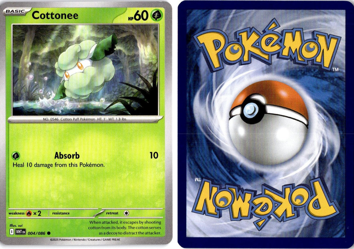 Front + Back scan | Near Mint / English / Normal