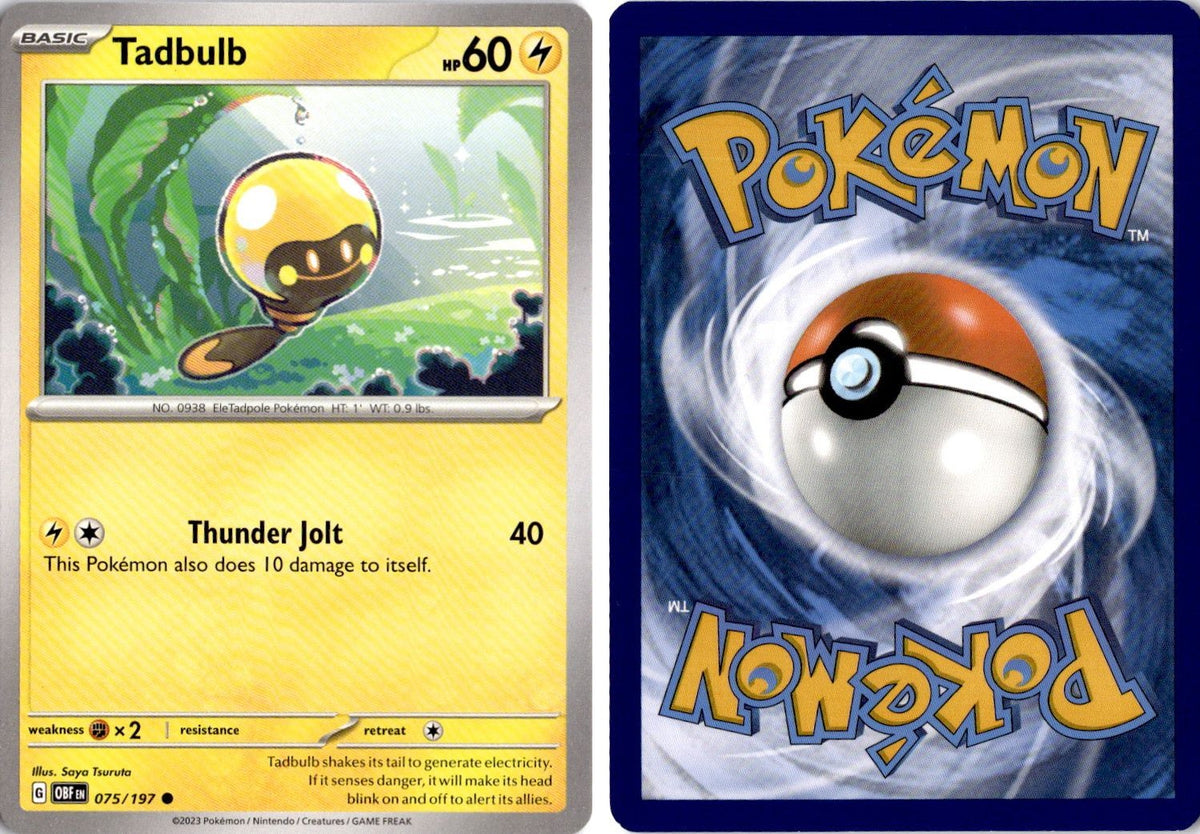 Front + Back scan | Near Mint / English / Normal