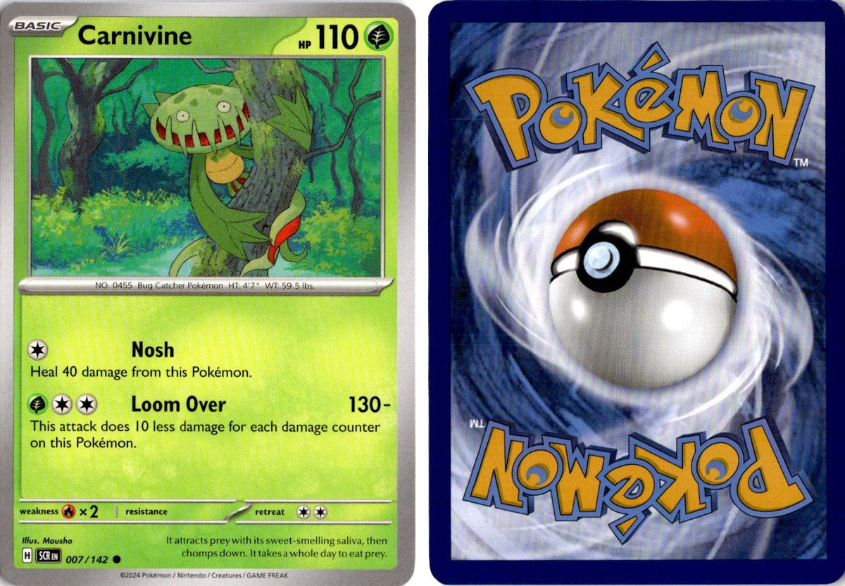 Front + Back scan | Near Mint / English / Normal