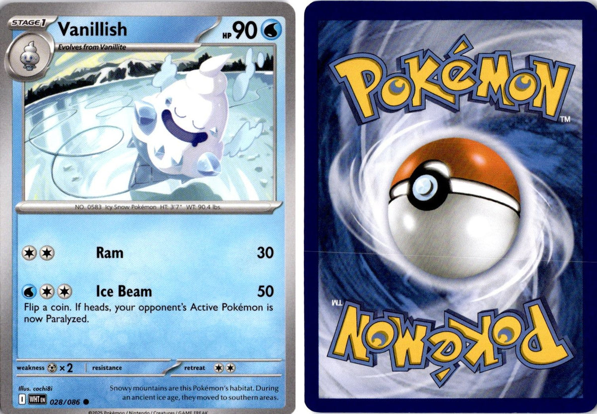 Front + Back scan | Near Mint / English / Normal