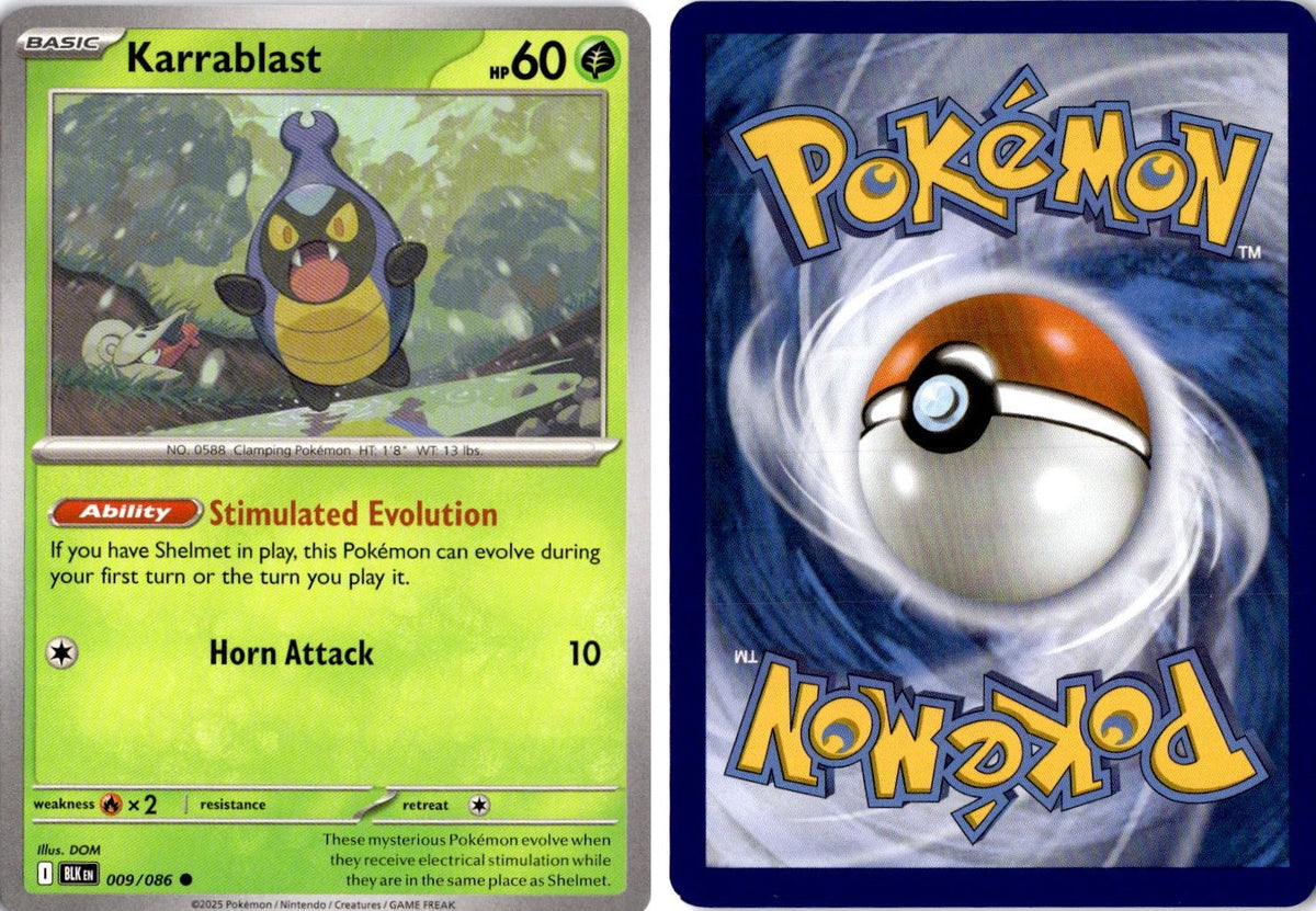 Front + Back scan | Near Mint / English / Normal