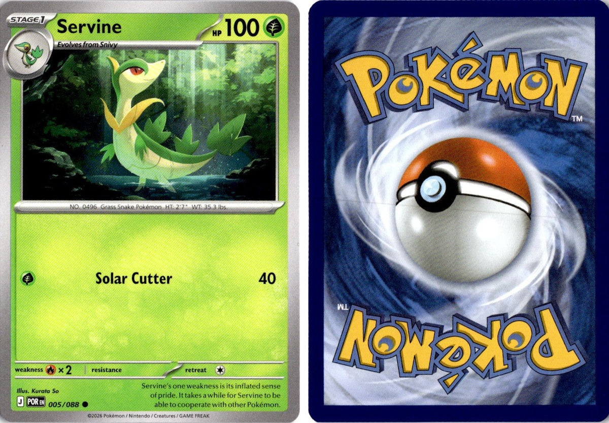 Front + Back scan | Near Mint / English / Normal