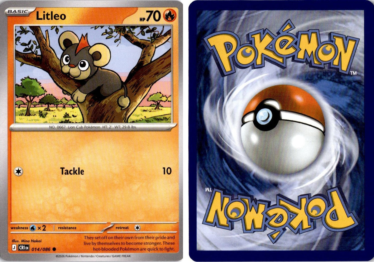 Front + Back scan | Near Mint / English / Normal