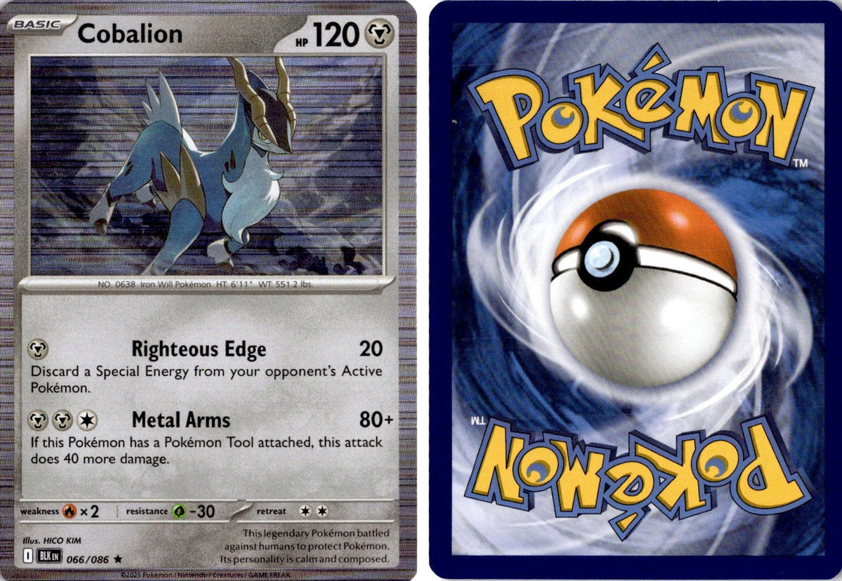 Front + Back scan | Near Mint / English / Holofoil