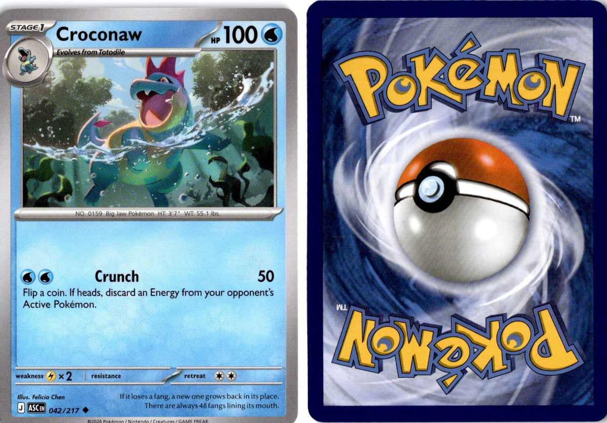 Front + Back scan | Near Mint / English / Normal